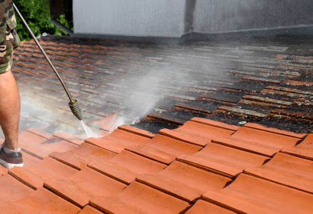 Best Residential Pressure Washing Services  in Lakefield, MN