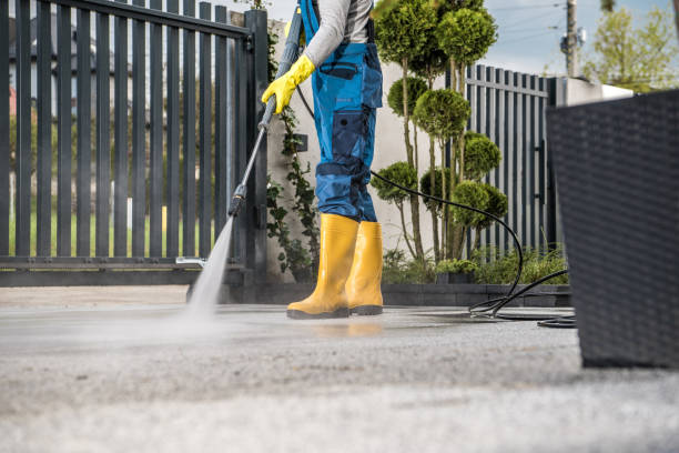 Best Sidewalk Pressure Washing  in Lakefield, MN