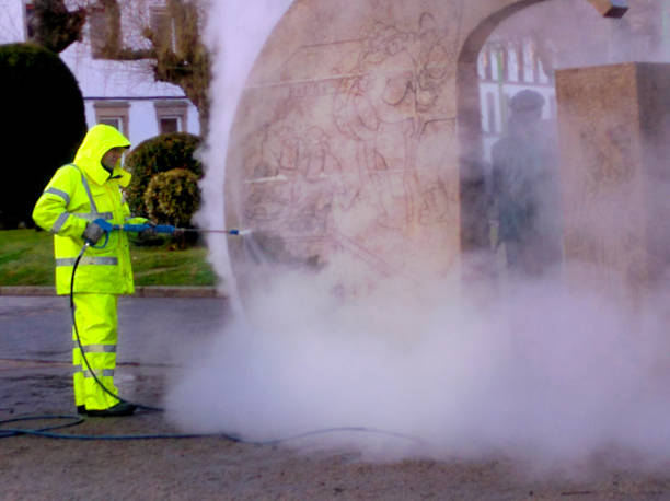 Best Roof Pressure Washing  in Lakefield, MN