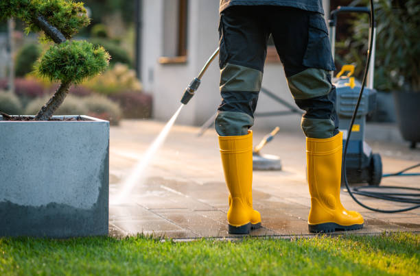 Best Pressure Washing Near Me  in Lakefield, MN